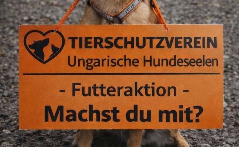 Futteraktion 🐕🧡