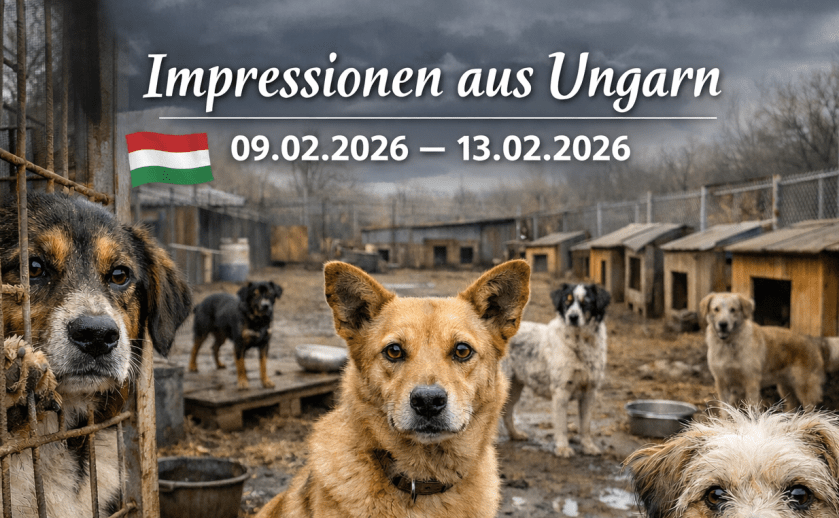Impressionen Ungarn 09.02.2026 – 13.09.2026