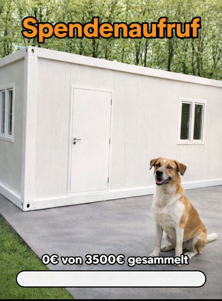 Ein neuer Container für unser Partnertierheim in Ungarn