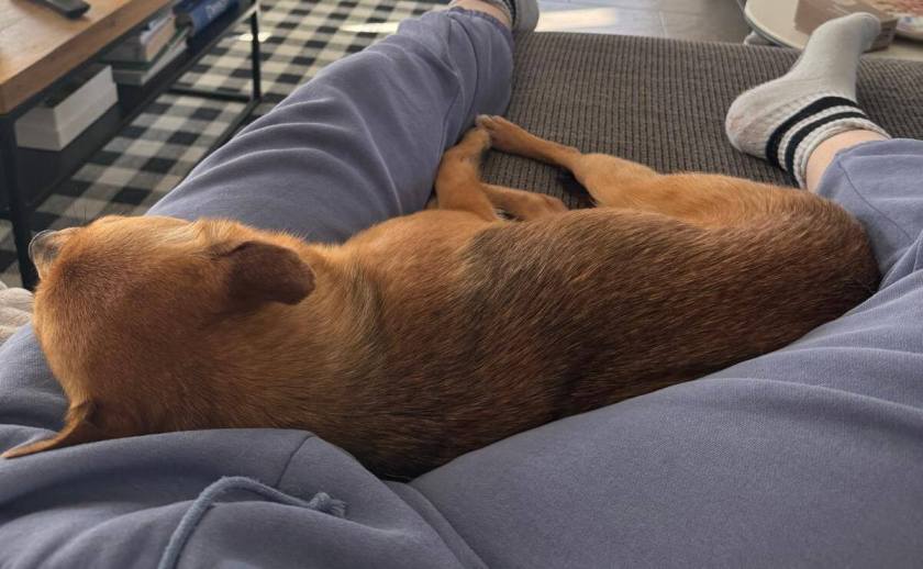 Happy End für Klemi