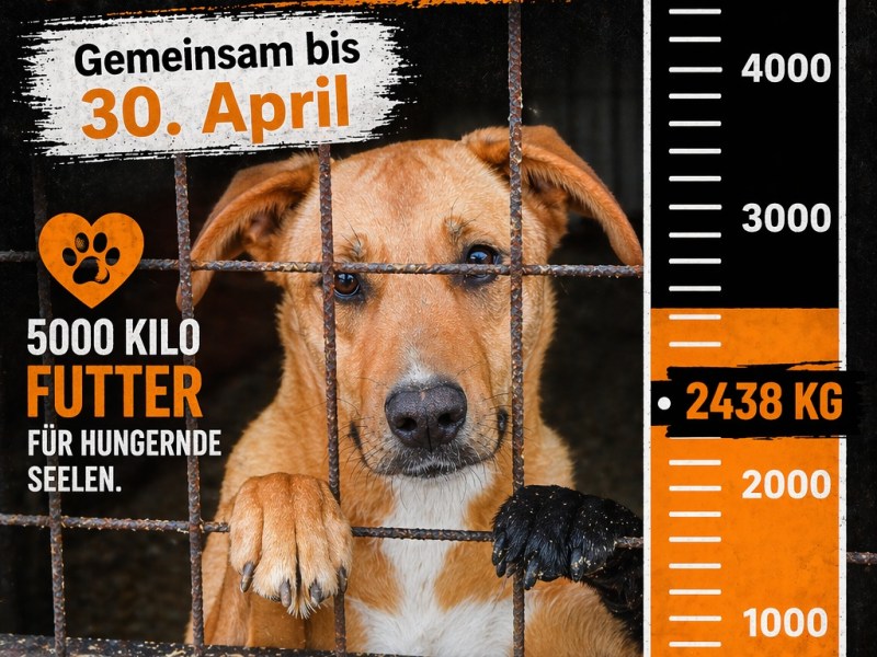 Der Countdown läuft – 8 Tage bleiben uns noch, um unser Ziel zu erreichen ❌