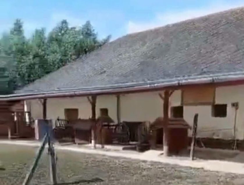 Großes Update zum Tierheim Umzug